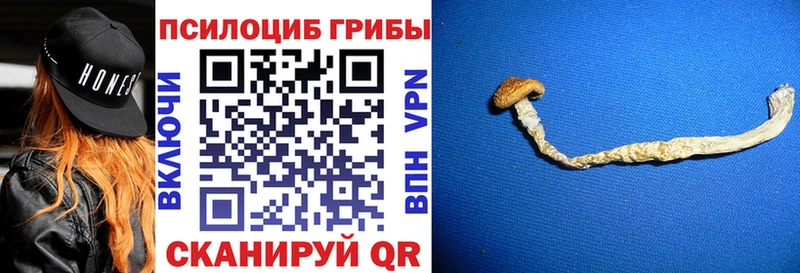 Галлюциногенные грибы Cubensis  даркнет состав  Петушки 